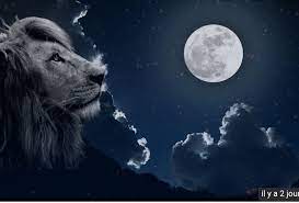 Ce calendrier des lunes vous permet d'identifier en un coup d'oeil les différentes phases de la lune pour chaque mois de l'année 2021. Fauve Meduim Contact Avec Les Defunts Messagere Pleine Lune Le 28 Janvier 2021 Facebook