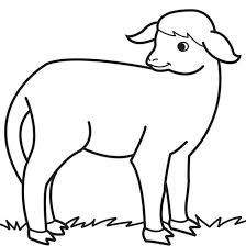 coloriage agneau dessin facile gratuit a imprimer ancre