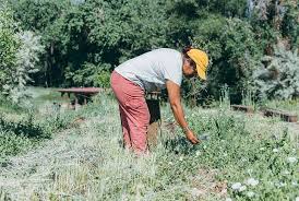 Kena And Mark Guttridge