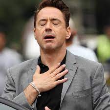 Robert Downey Jr Meme Idlememe