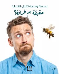 Nour Zeinddine (@beelove_lb) • Instagram photos and videos