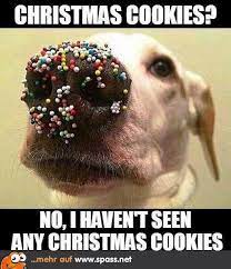 Jun 13, 2016 · r/deathstranding: Christmas Cookies Lustige Bilder Auf Spass Net Christmas Memes Funny Funny Animals Funny Animal Pictures