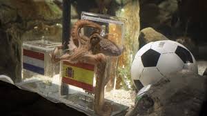 Saved a penalty against paraguay and made vital saves against germany in the semis and holland in the final. 2010 Fifa World Cup South Africa Spain Fifa Com