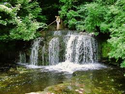 Profile for Terry Senior Photography