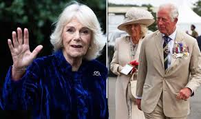 Camilla parker bowles is the second wife of prince charles and the patron of dozens of charities. Camilla Parker Bowles Prince Charles Wife At At The Peak Of Powers Before The Crown Toysmatrix