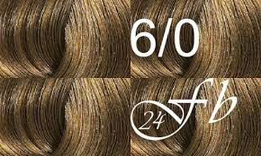 Eine inspirierende farbkarte für alle ansprüche: Wella Color Touch 6 Dunkelblond 60ml Friseurbedarf 24 Online Shop
