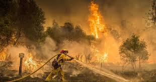 Image result for climate change