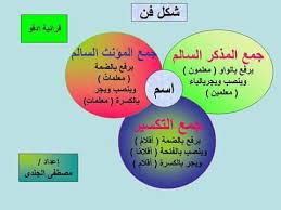 اقوى 70 بطاقة شكل فن وشبكه مفردات كلمات الترم الاول الصف الثالث الابتدائي