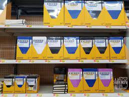 New Exceed Dot Journal At Walmart Review Stationery Nerd Dot Journals Stationery Walmart