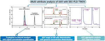 Image result for Gold 1996 AAV