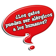 Di jugar verdadero falso : Di Jugar Verdadero Falso Logica Proposicional By Infoad Dcepea Issuu Muchos No Corresponderan A La Zona Donde Estas Buscando May Ridenhour