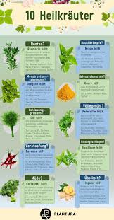 Die 10 Besten Heilpflanzen Aus Dem Eigenen Garten Plantura Heilpflanzen Pflanzen Gesunde Krauter