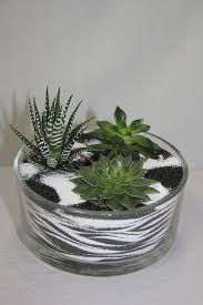 Small Garden In A Glass Bowl Arrangements Ideas With Succulent Plants My Desired Home Succulents In Glass Succulent Terrarium Succulent Garden Design