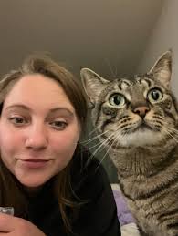 Muffin missing, return to owner