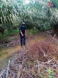 A mainly hakka community which was formed back in the 1950s when the british. Berita Terkini Penyelia Ladang Jumpa Bom Lama Dalam Keadaan Berkarat Di Ladang Kelapa Sawit Kitareporters Semua Boleh Jadi Reporter