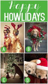 We did not find results for: 100 Christmas Photo Ideas Family Christmas Cards The Dating Divas Creative Christmas Cards Christmas Family Photos Family Christmas Cards