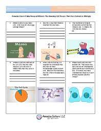 The worksheets are offered in developmentally appropriate versions for kids of different ages. Mitosis Recap By The Amoeba Sisters Free Student Handout By Amoeba Sisters Llc