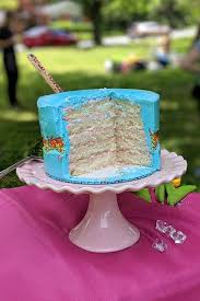 How To Make A Sprinkle Fault Line Cake Bakes And Blunders