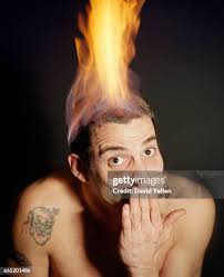 381,501 Player Steve Photos & High Res Pictures