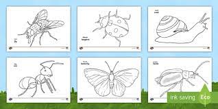 Select from 35919 printable coloring pages of cartoons, animals, nature, bible and many more. Minibeasts Colouring Pages Arabic English Minibeasts Colouring Sheets