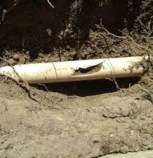 Great work in repairing my sprinkler system. Frisco Sprinkler Repair Texas Lawn Sprinklers