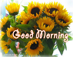 The flowers are special, they are a symbol, each one is different in shape and color and each has a different meaning. Good Morning With Sunflowers