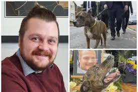 Man's best friend: The grieving dog who led the funeral procession for his  true pal