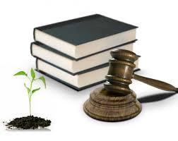 Image result for legislacion vigente