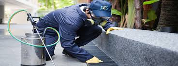 They can spread disease, contaminate our food. Pest Control Answering Service
