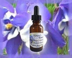 Pin On Flower Essences