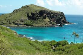 Image result for Marquesia macroura