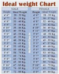 ageless ideal height weight chart for female weight chart