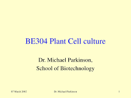 Plant tissue culture technique has become an important tool in the hands of the plant biotechnologists. Ppt Be304 Plant Cell Culture Powerpoint Presentation Free Download Id 346072