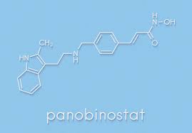 Image result for Panobinostat