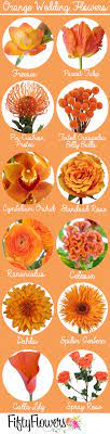Orange flowers names and pictures. Eye Catching Orange Flowers For A Bold Bridal Look From Fiftyflowers Com Wedding Flower Arrangements Fall Flowers Spring Wedding Colors