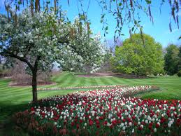 Beautiful Mill Creek Park Youngstown Ohio Mill Creek Park Riverside Garden Beautiful Park