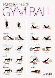 Ever Been Confused About How To Utilize That Exercise Ball At The Gym Don T Sweat It We Ve Got You Covered Workout Guide Ball Exercises Gym Ball