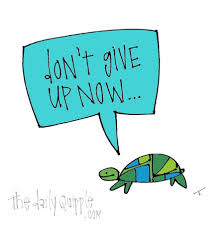 Turtle Of Perseverance Listen To The Turtle The Daily Quipple Perseverance Words Uplifting Messages