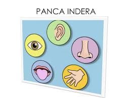 Mereka memang telah terbiasa menggunakan internet di ponsel untuk mencari informasi gambar untuk dijadikan inspirasi. Gambar Panca Indra Kartun Shefalitayal