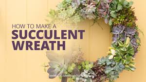How to propagate a fairy castle cactus. How To Make A Living Succulent Wreath Succulents And Sunshine