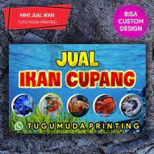 We did not find results for: Jual Cetak Spanduk Banner Mmt Jual Ikan Cupang Ikan Hias Aquarium Kota Semarang Tugu Muda Printing Tokopedia
