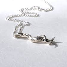 Image result for Monotes elegans