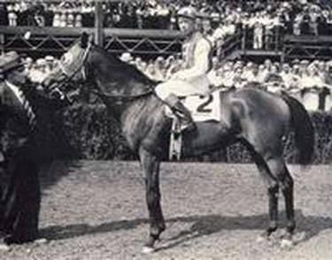 Seabiscuit - Analysis of a Thoroughbred Racehorse