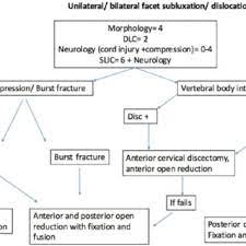 Resting to allow the facet joints to relax and reduce inflammation. Pdf Surgery For Locked Cervical Facets A Technical Note