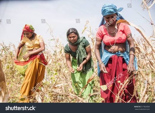 Jhabua Madhya Pradesh India 15 October Stock Photo 517822669 | Shutterstock