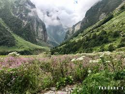 You don't have to spend a large sum and travel to the states to witness the scenic beauty of antelope valley. Valley Of Flowers India Album On Imgur