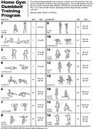 Dumbbell Training Two Dumbbells And A Flat Bench Are The