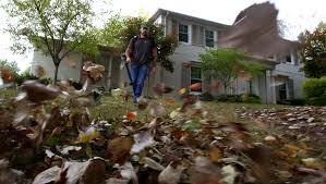 Professional lawn care detroit, mi services respond to all the precise needs of your particular lawn to keep the greenest grass in the neighborhood on your side of the fence. Snowplowing Lawn Mowing There S An App For That