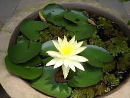 Contribute to hechenqingyuan/gitwms development by creating an account on github. X5jawwe Fh5vmm