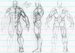 Male Model Sheet Character Model Sheet Anatomy Reference Character Modeling